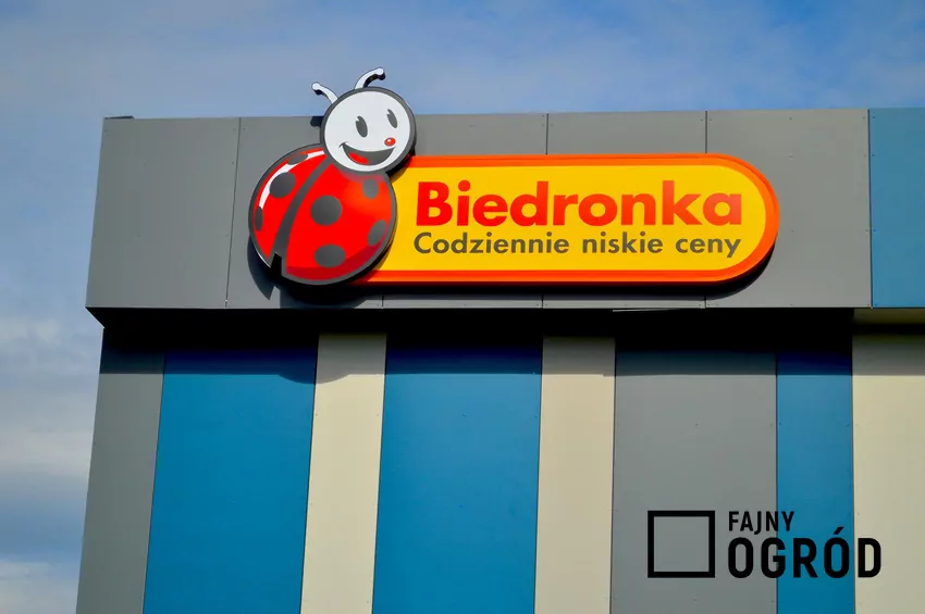 Biedronka