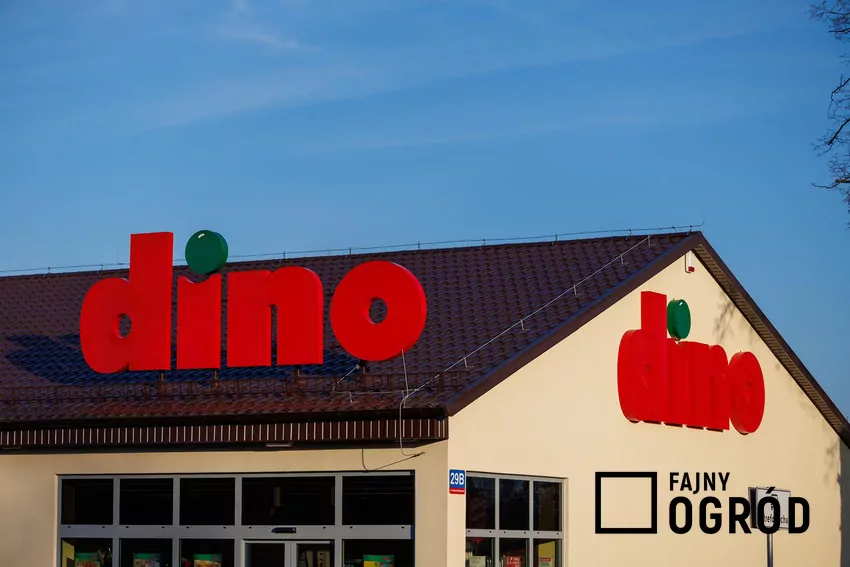 Dino