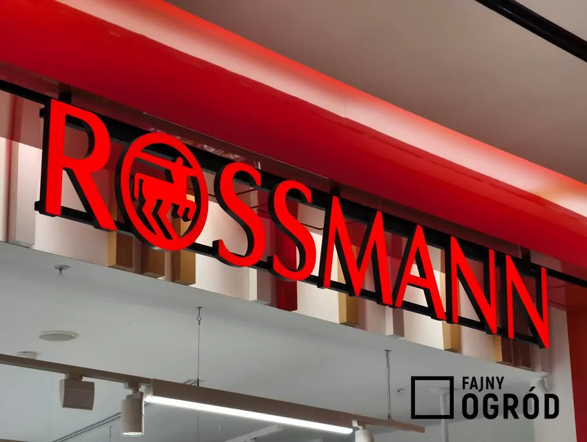 W nowej gazetce Rossmanna dużo ciekawych promocji Rossmann