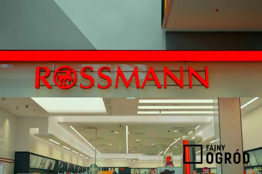 Rossmann