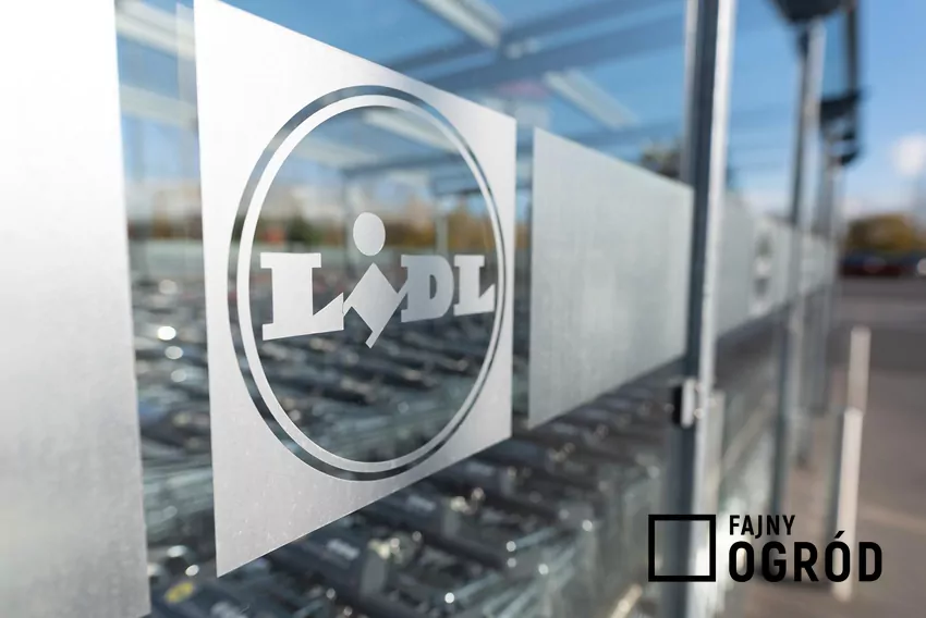 Partnerstwo z PZPN jest kolejnym elementem większej strategii marketingowej firmy Lidl logo transparentne