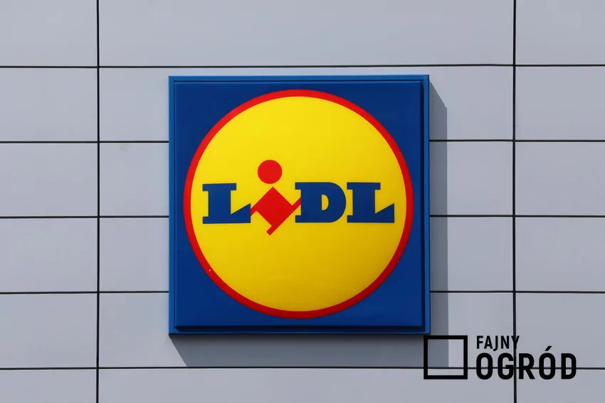 Dla Lidla oznacza to wejście w jedno z najbardziej rozpoznawalnych środowisk sportowych w Polsce Lidl logo kolorowe