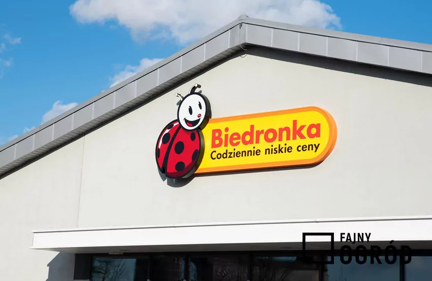 Biedronka