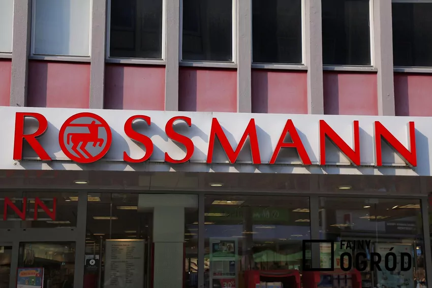 Rossmann