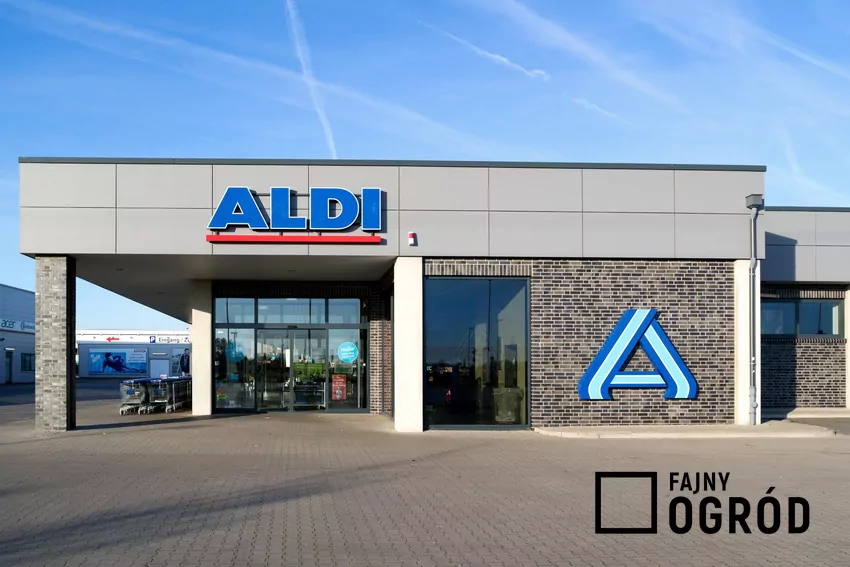 Nowe obniżki w ALDI w tym tygodniu ALDI