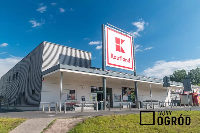 Nowe promocje w Kauflandzie od 1.10 Kaufland
