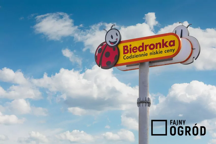W nowej gazetce Biedronki dużo ciekawych promocji Biedronka