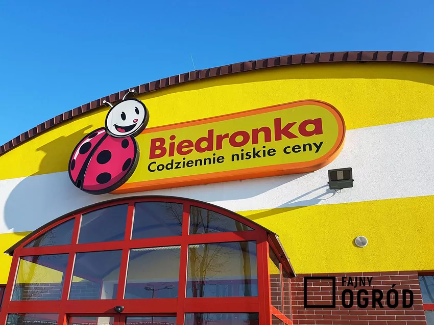 W nowej gazetce Biedronki dużo ciekawych promocji Biedronka