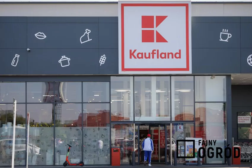Kaufland