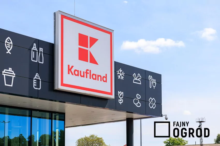 Nowe rabaty w Kauflandzie od czwartku Kaufland