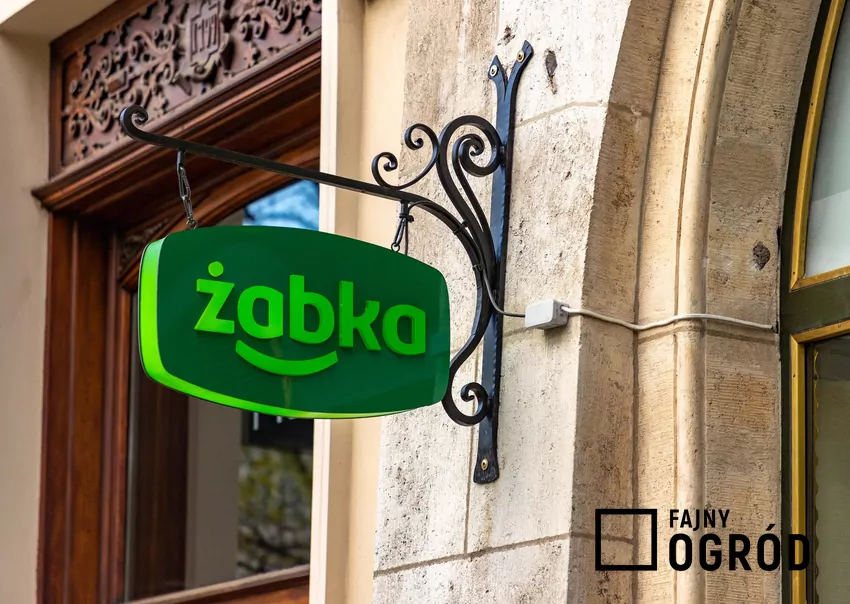 Żabka rozpoczęła współpracę z dietetykiem Michałem Wrzoskiem Żabka