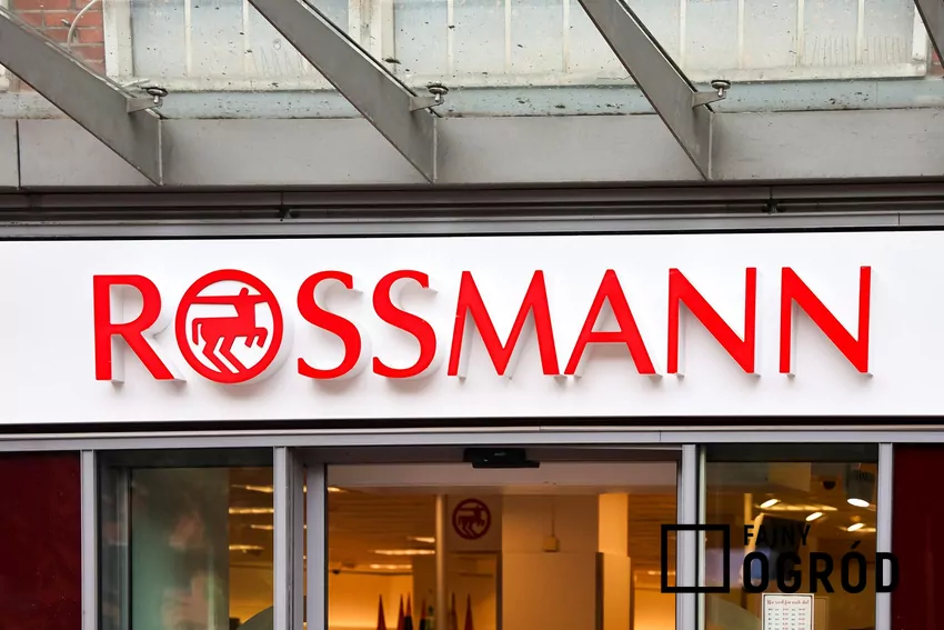 Rossmann