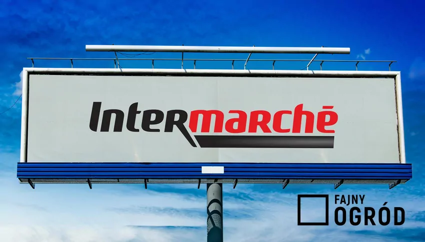 Intermarche