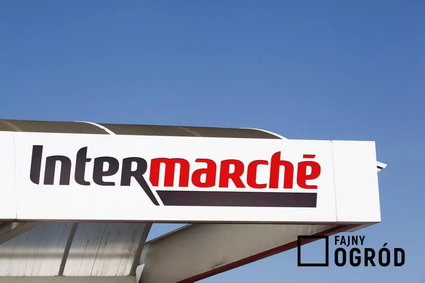 Nowe zniżki w Intermarche w tym tygodniu Intermarche