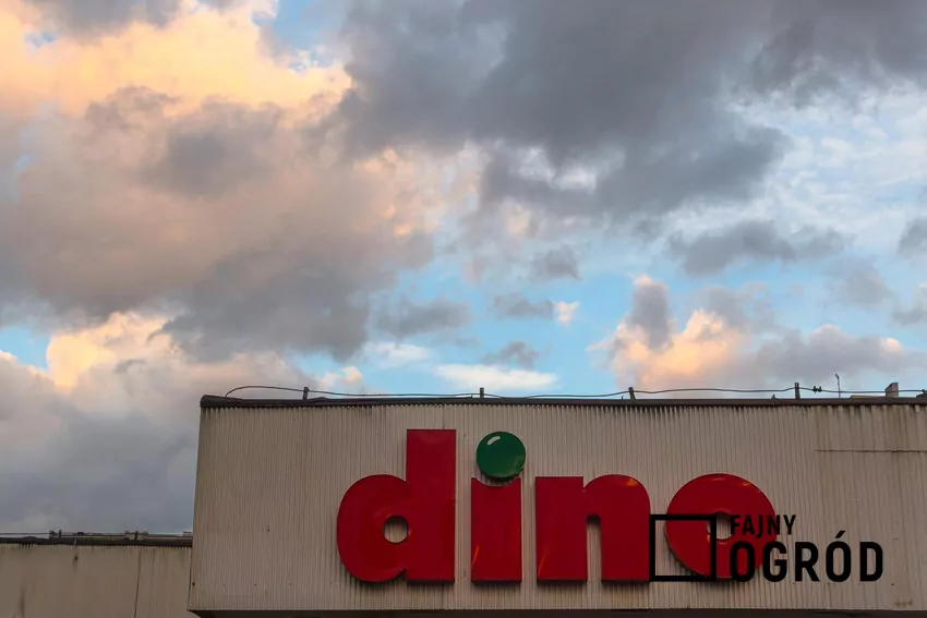 W nowej gazetce Dino dużo ciekawych promocji Dino
