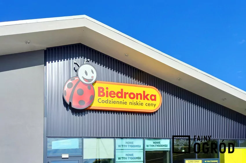 Biedronka