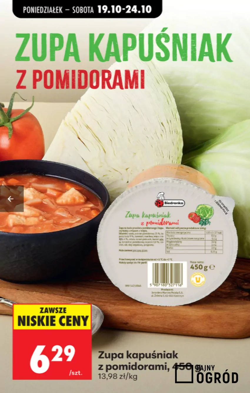 Biedronka - gazetka