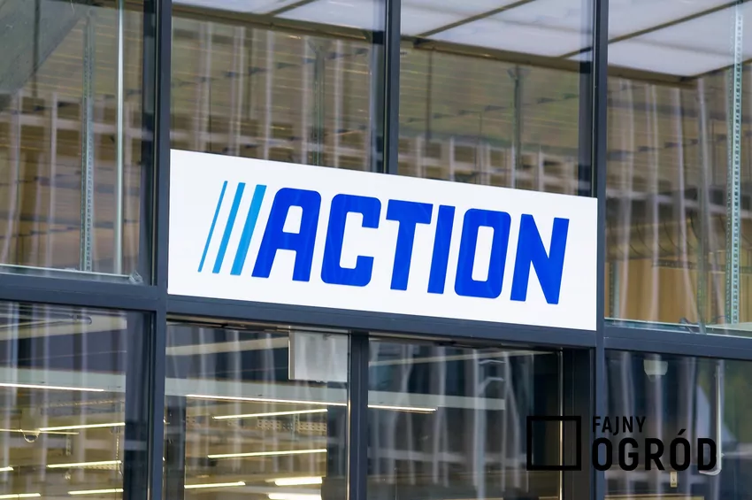 Promocja na Guess a Action