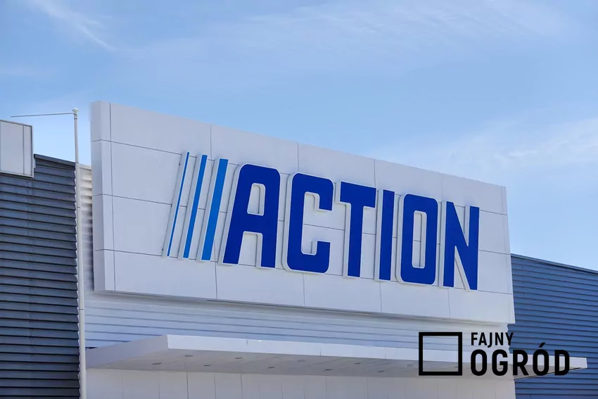 Action