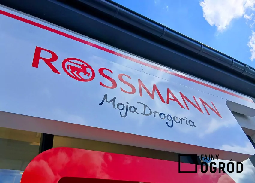 W Rossmannie dużo ciekawych promocji kultowych zapachów i kosmetyków Rossmann