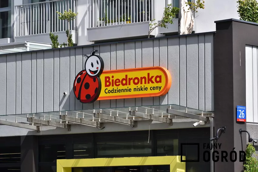Biedronka