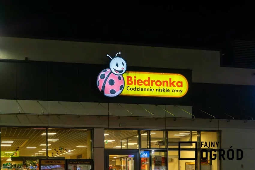Biedronka