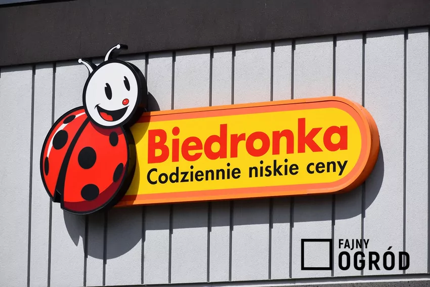 Promocja na ProActiv w Biedronce