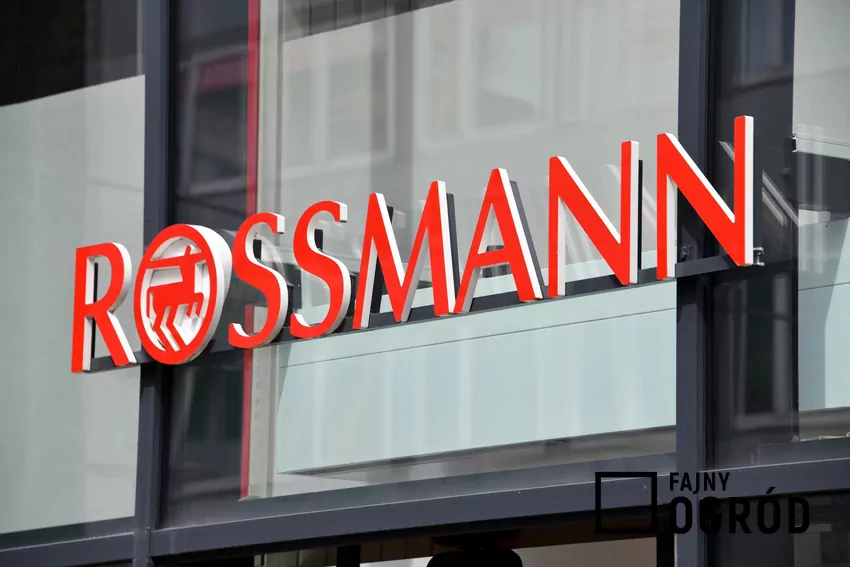 Rossmann