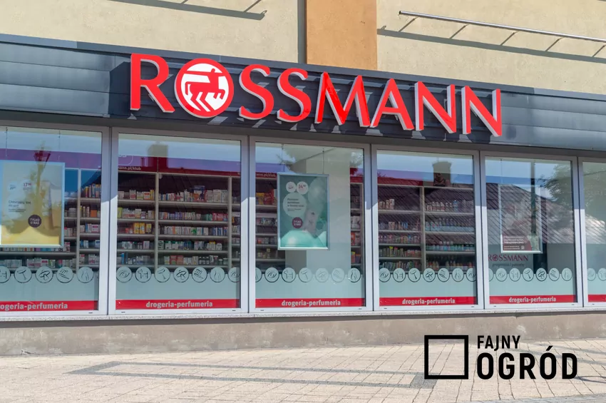 W Rossmannie dużo ciekawych promocji kultowych zapachów i kosmetyków Rossmann