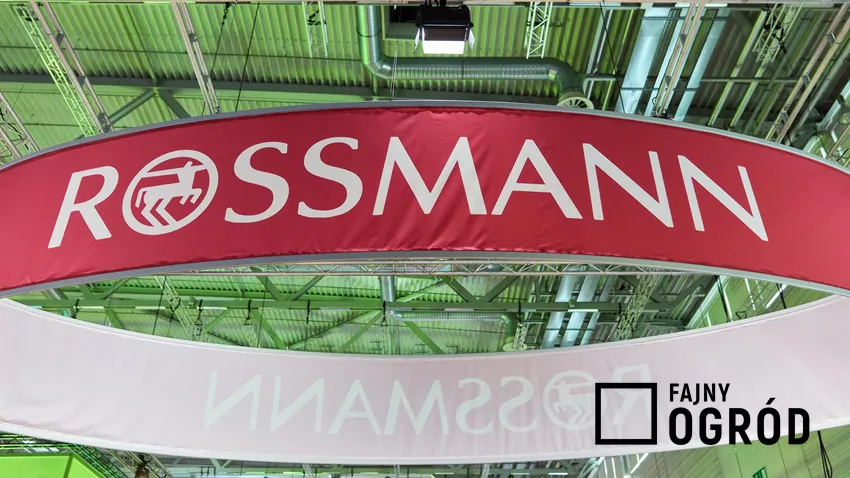 Rossmann