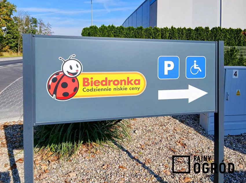 Nowe promocje w Biedronce od 26.10 Biedronka