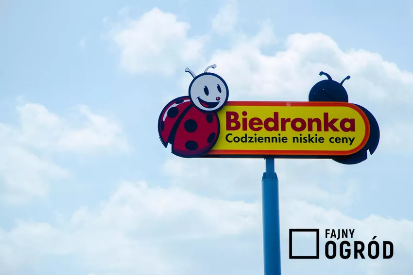 Świetne obniżki cen w Biedronce! Sklep Biedronka