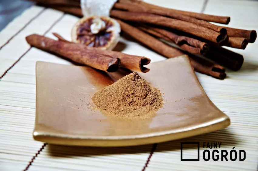 Cynamon sproszkowany i w laskach