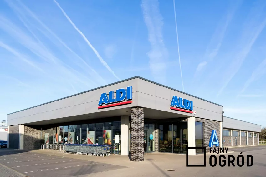 Bez problemu zastapisz nim cukier Logo sklep ALDI