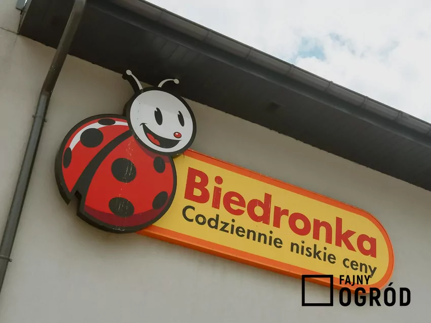 Logo sklepu Biedronka