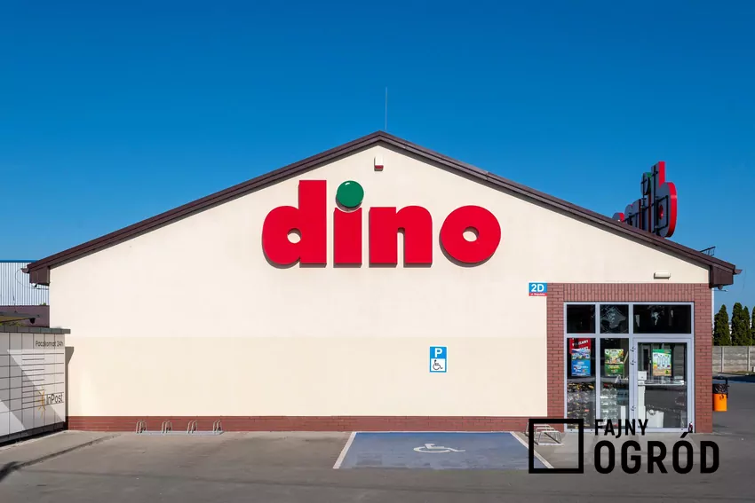 Dino - sklep