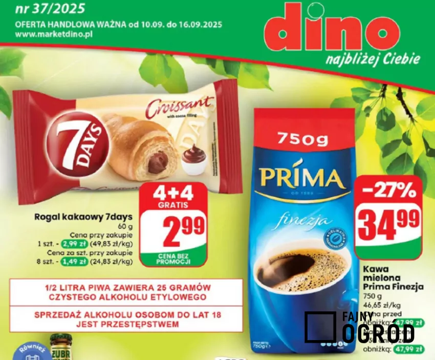 Dino - gazetka