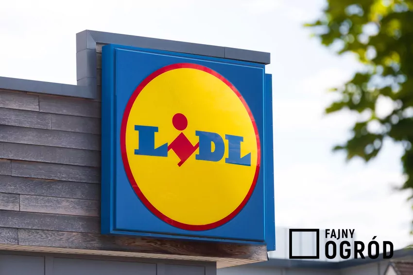 Logo sklepu Lidl