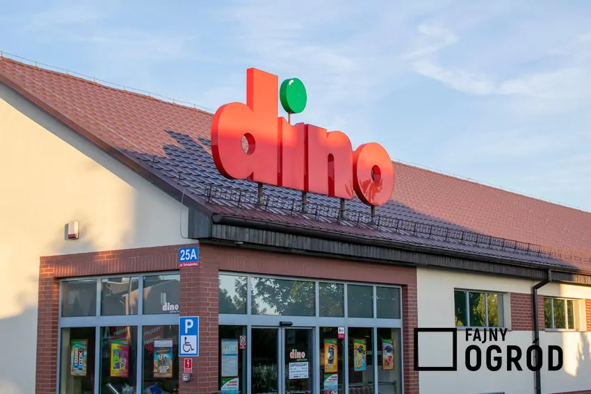 Dino - sklep