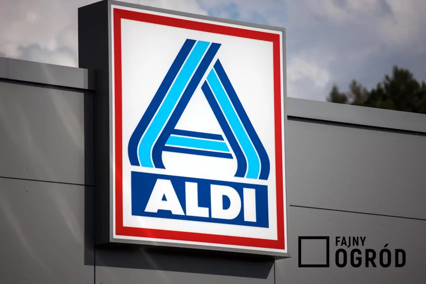 Logo sklepu Aldi