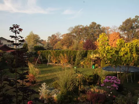 Azjatycka metoda ściółkowania roślin