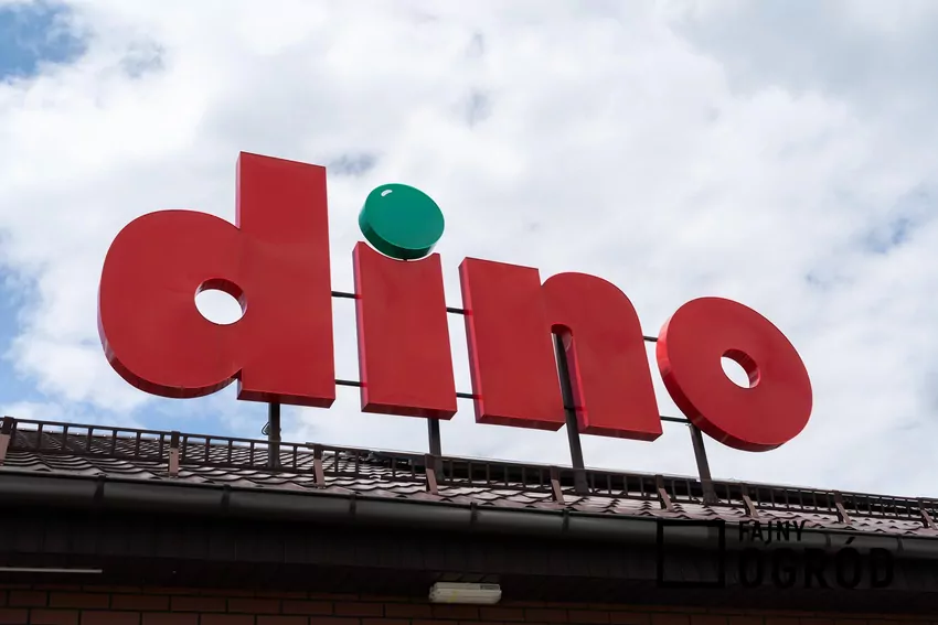 Logo sklepu Dino