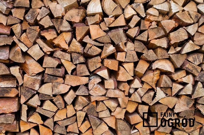 Dobrze wysuszone drewno opałowe gotowe do sezonu grzewczego Drewno w trakcie sezonowania
