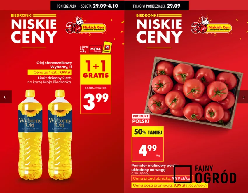 Biedronka - gazetka