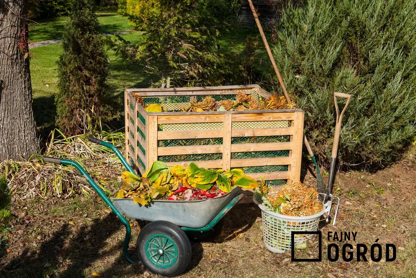 Kompostownik w ogordzie