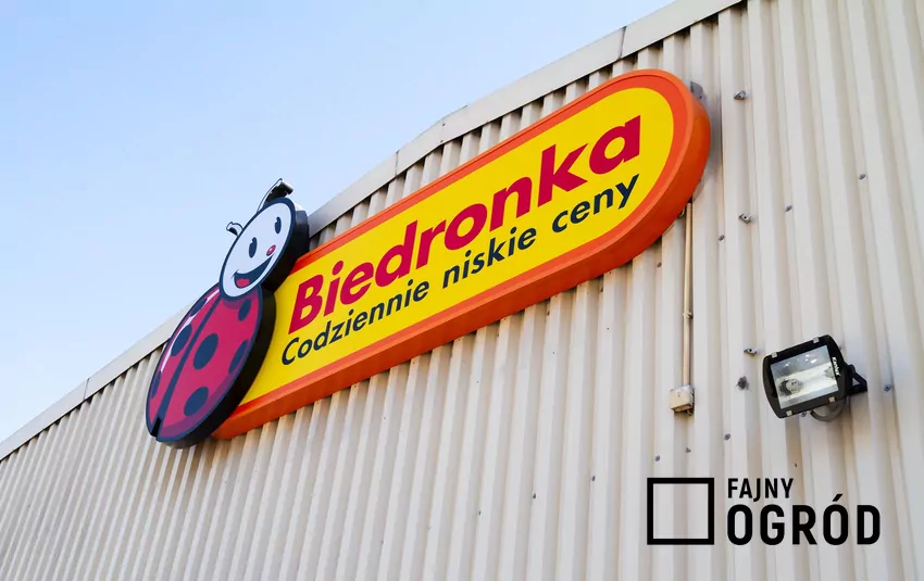 Biedronka
