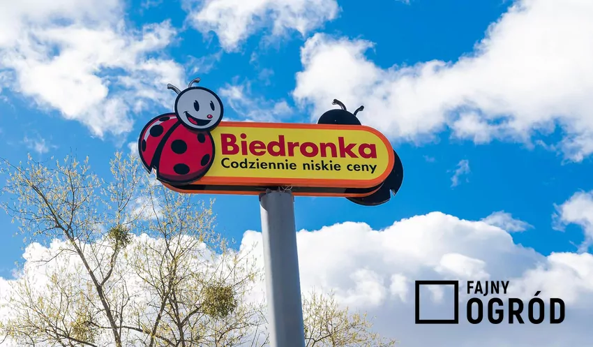 Logo sklepu Biedronka