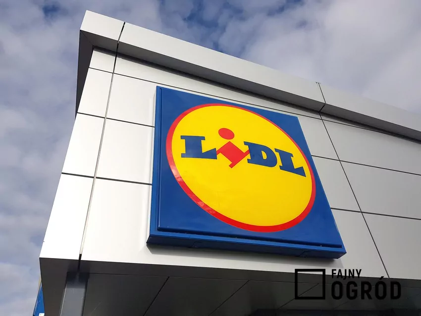 Logo sklepu Lidl
