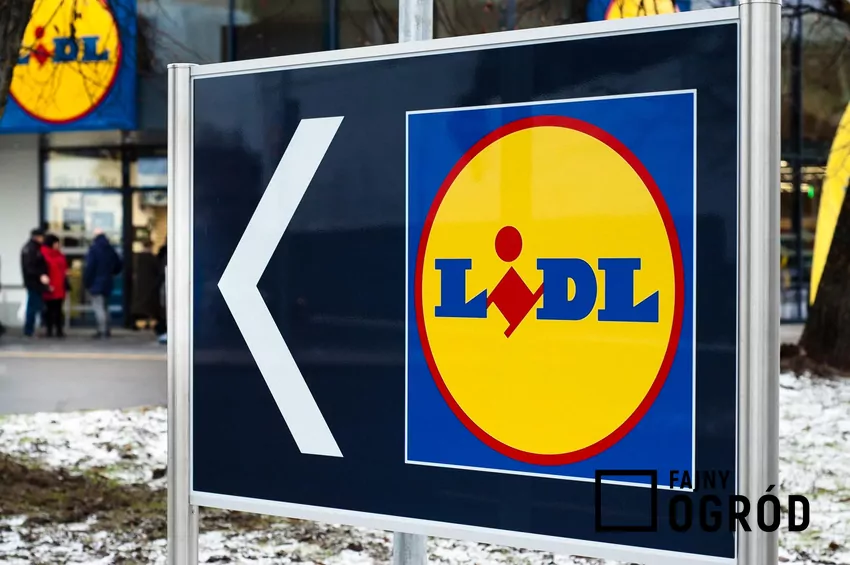 Logo sklepu Lidl