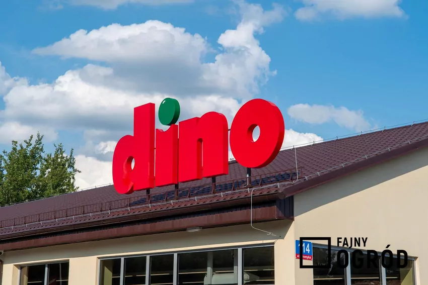 Dino - sklep